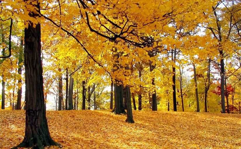 Someone Up There has Got To Love&nbsp;Us